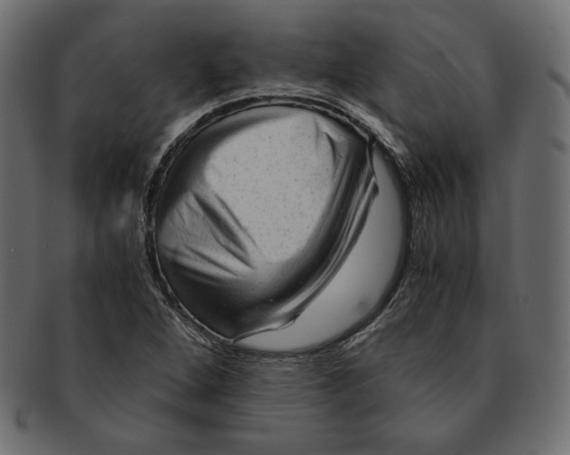 X0000091921264200710031031