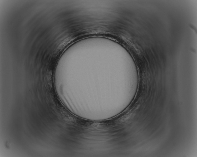 X0000091921265200710031031
