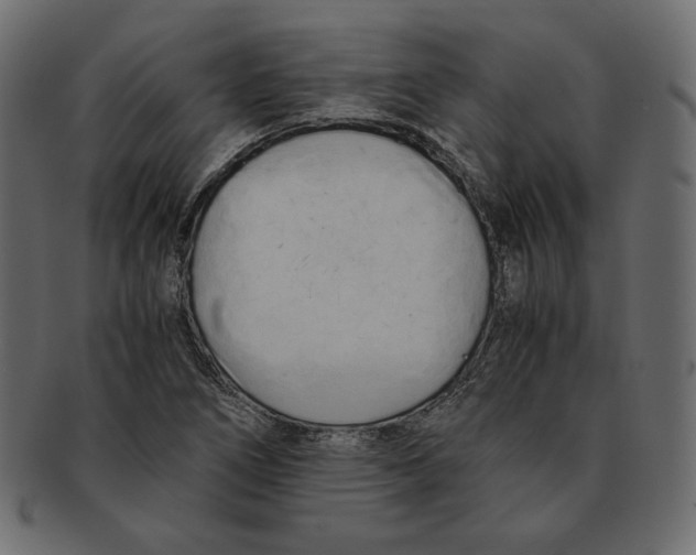 X0000091921266200710031031