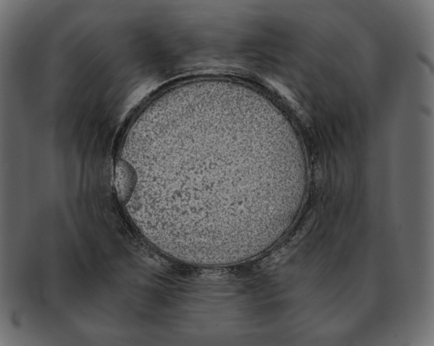 X0000091921267200710031031