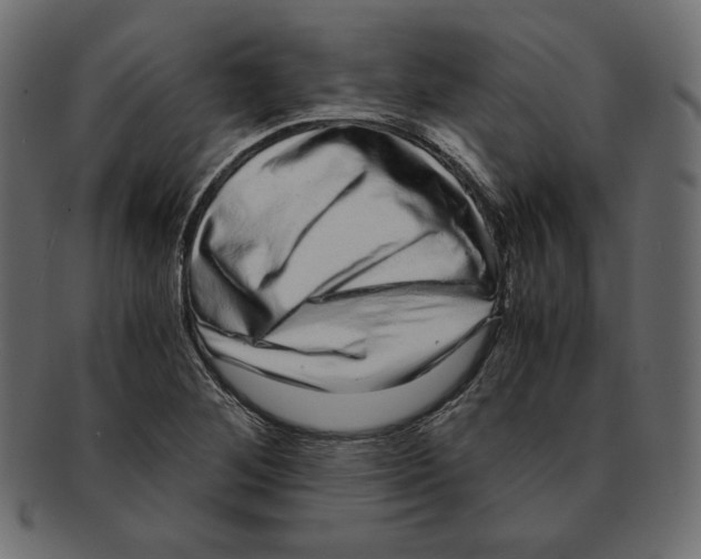 X0000091921268200710031031