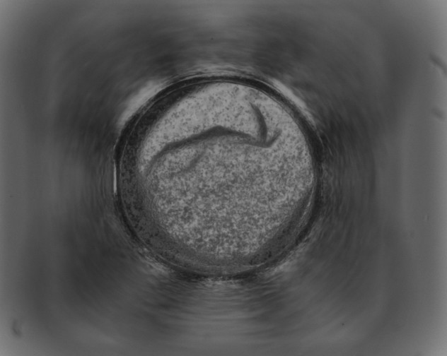X0000091921269200710031031