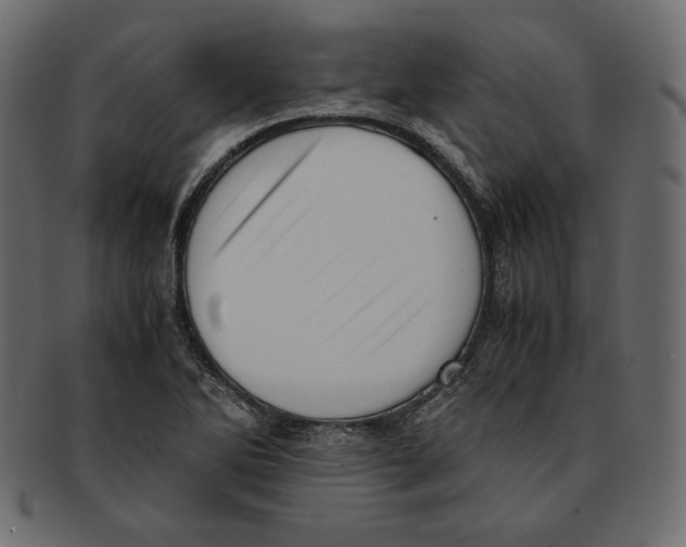 X0000091921270200710031031