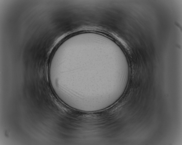 X0000091921272200710031031