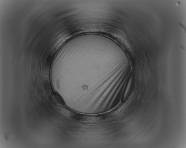 X0000091921273200710031031