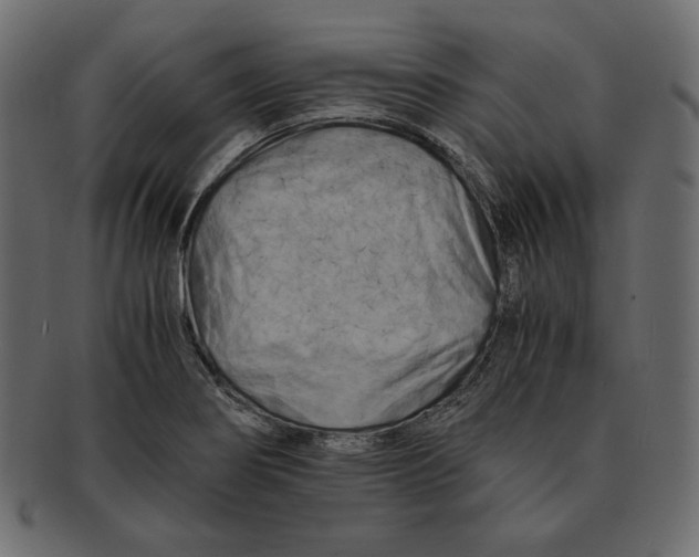 X0000091921274200710031031