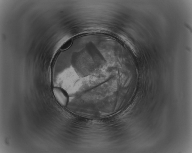 X0000091921275200710031031