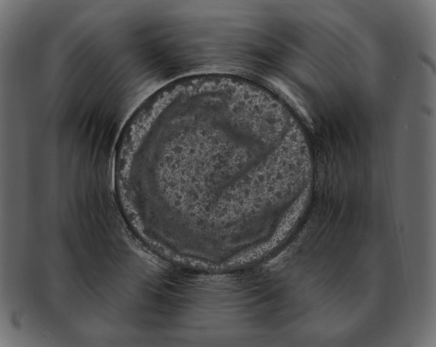 X0000091921276200710031031