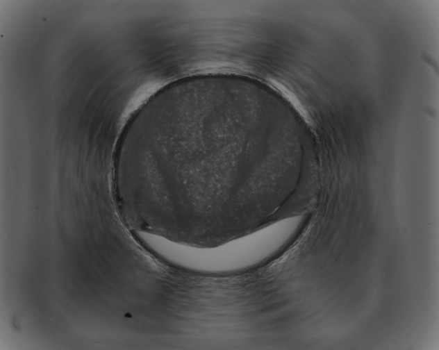 X0000091921277200710031031