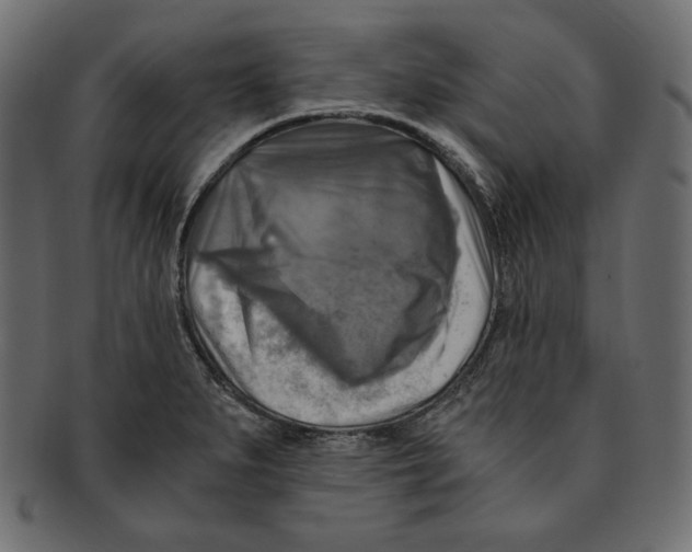 X0000091921279200710031031