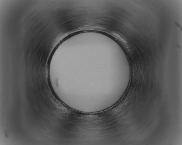X0000091921280200710031031