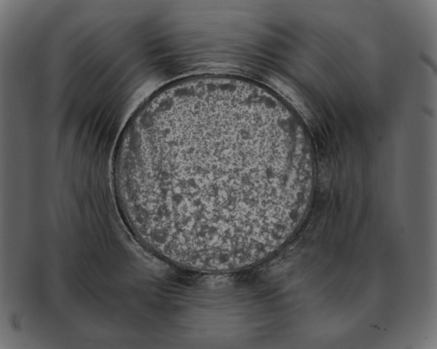 X0000091921283200710031031