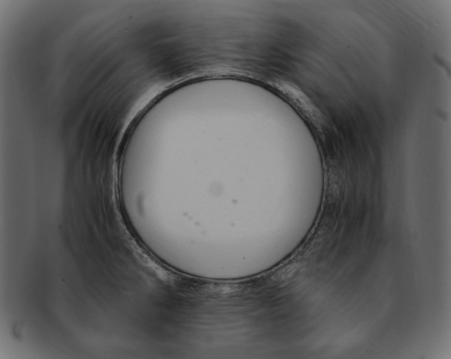 X0000091921286200710031031