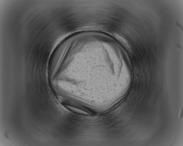 X0000091921288200710031031
