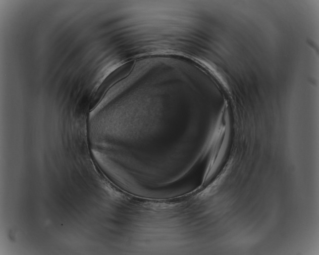 X0000091921289200710031031