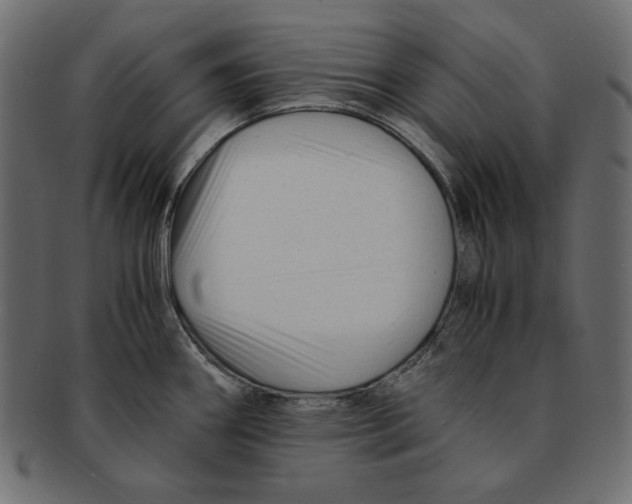 X0000091921290200710031031