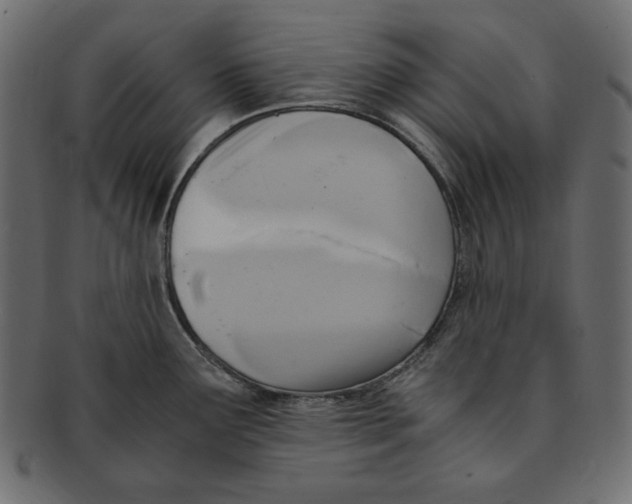 X0000091921291200710031031