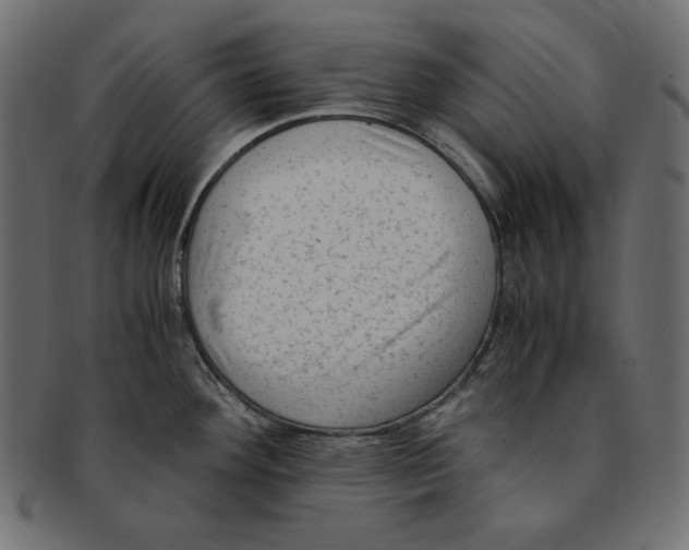 X0000091921292200710031031