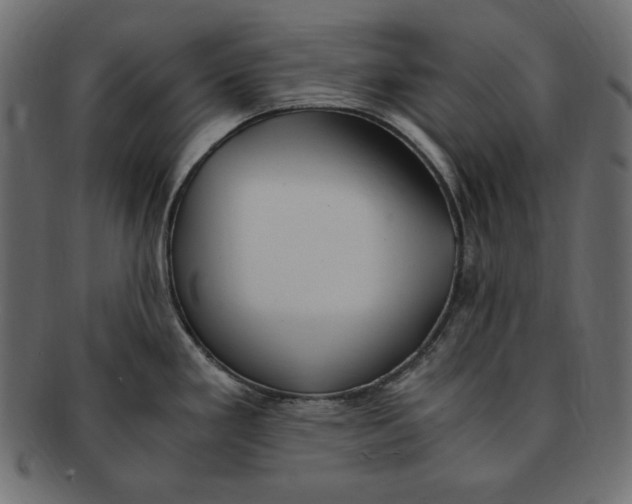 X0000091921293200710031031