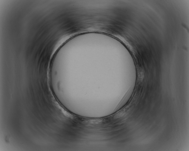 X0000091921294200710031031
