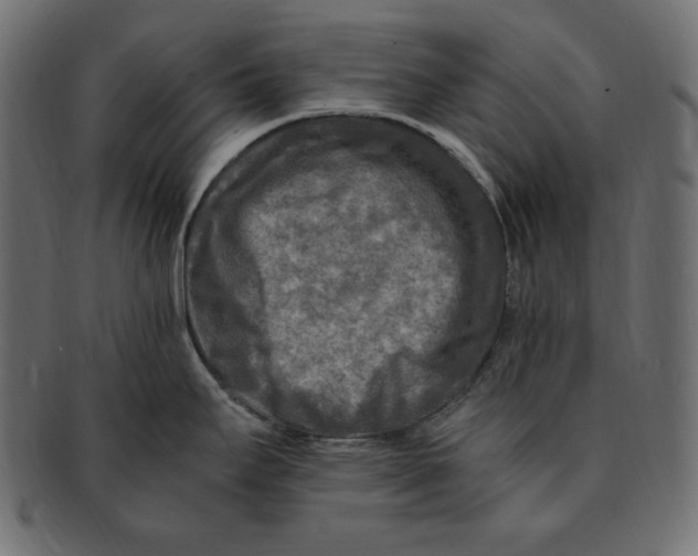 X0000091921295200710031031