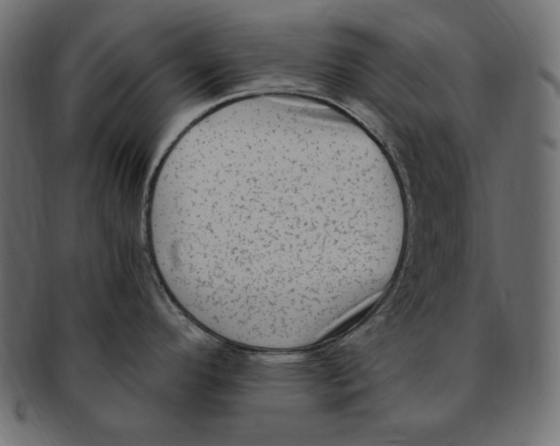X0000091921296200710031031