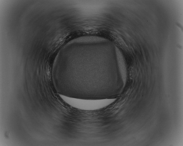 X0000091921298200710031030
