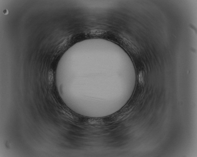 X0000091921299200710031031