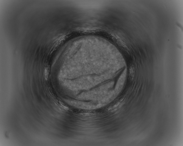 X0000091921300200710031031