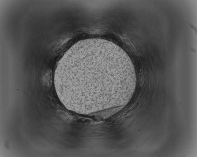 X0000091921301200710031031