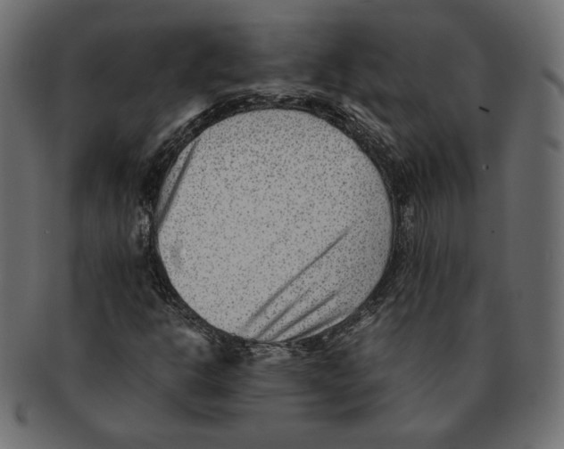 X0000091921302200710031031