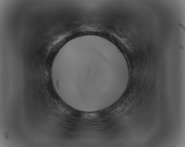 X0000091921303200710031031