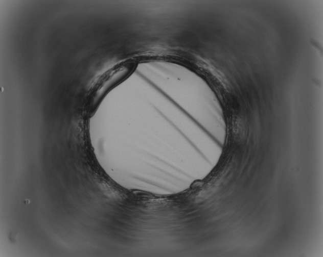 X0000091921304200710031031