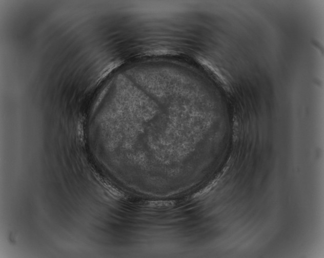 X0000091921305200710031031
