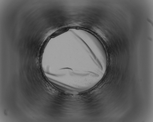 X0000091921308200710031031