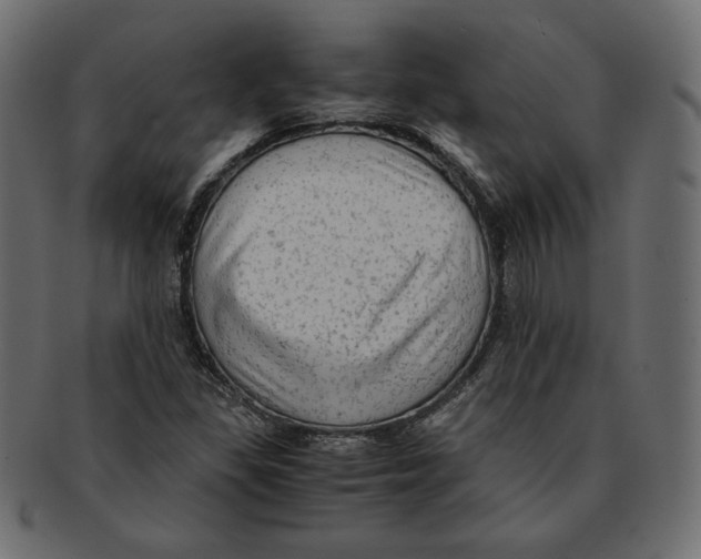 X0000091921309200710031031