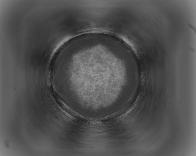 X0000091921310200710031031