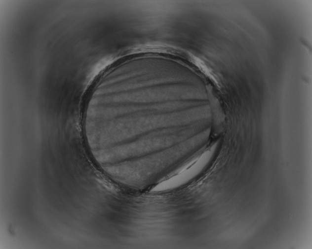X0000091921312200710031031
