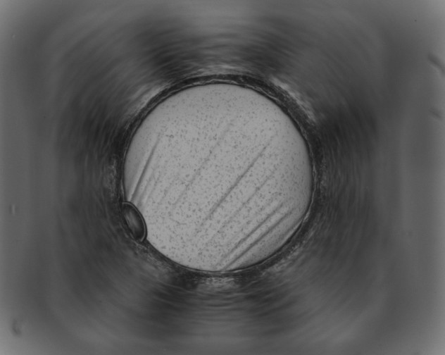 X0000091921313200710031031