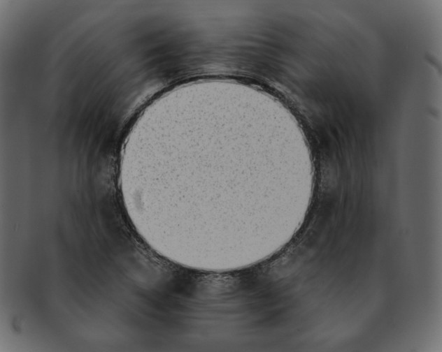 X0000091921314200710031031