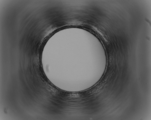 X0000091921315200710031031