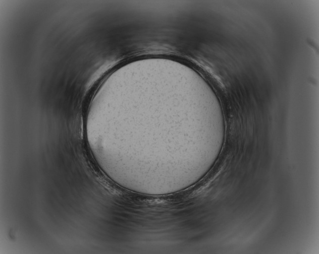 X0000091921317200710031031