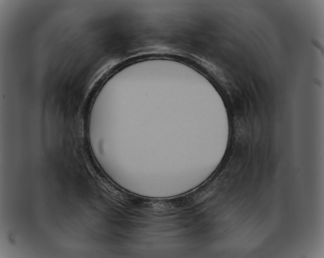 X0000091921318200710031031