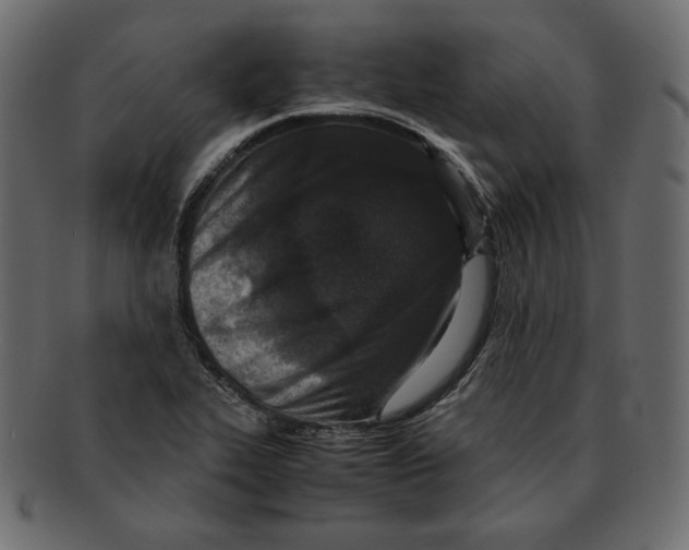 X0000091921319200710031031