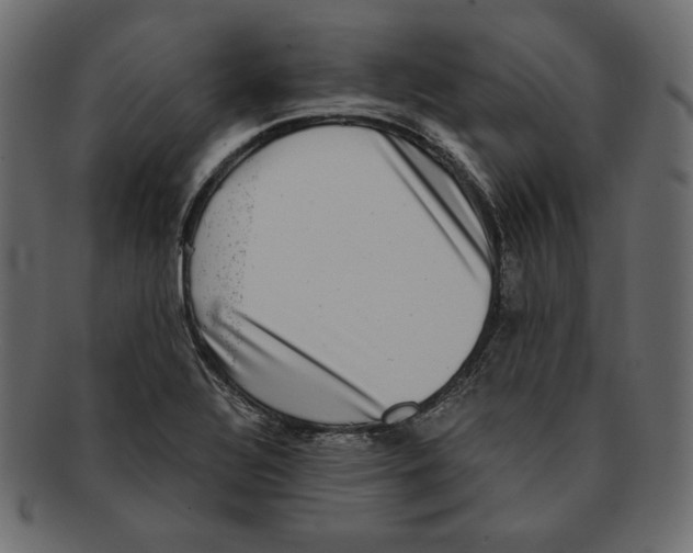 X0000091921320200710031031