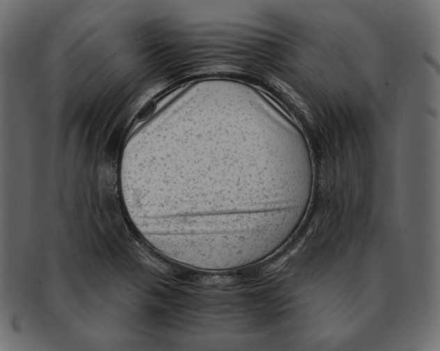 X0000091921321200710031031