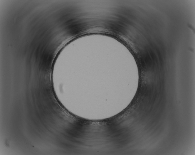 X0000091921322200710031031
