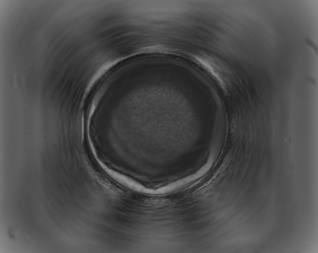 X0000091921323200710031031