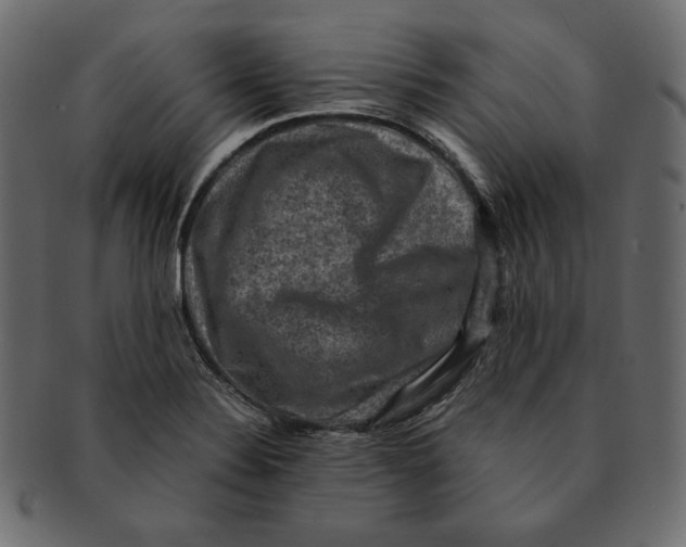 X0000091921324200710031031