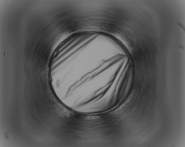X0000091921325200710031031